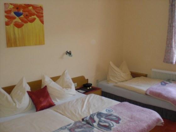 Hotel Bergkristall Schwarzenberg am Bohmerwald エクステリア 写真